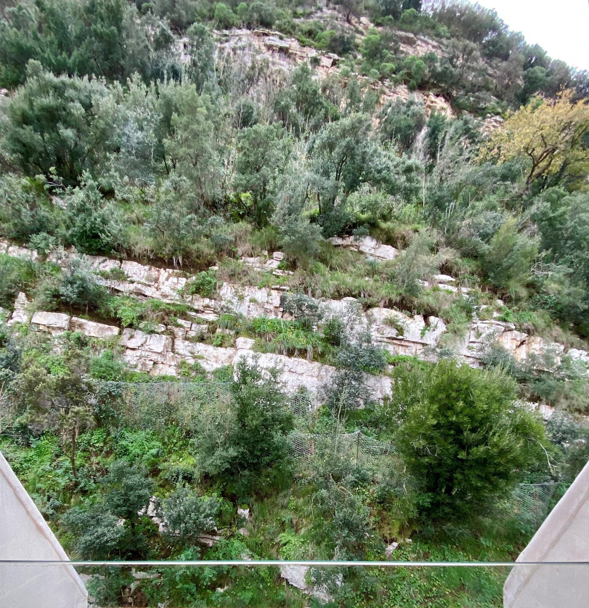 Conca Park Sorrent